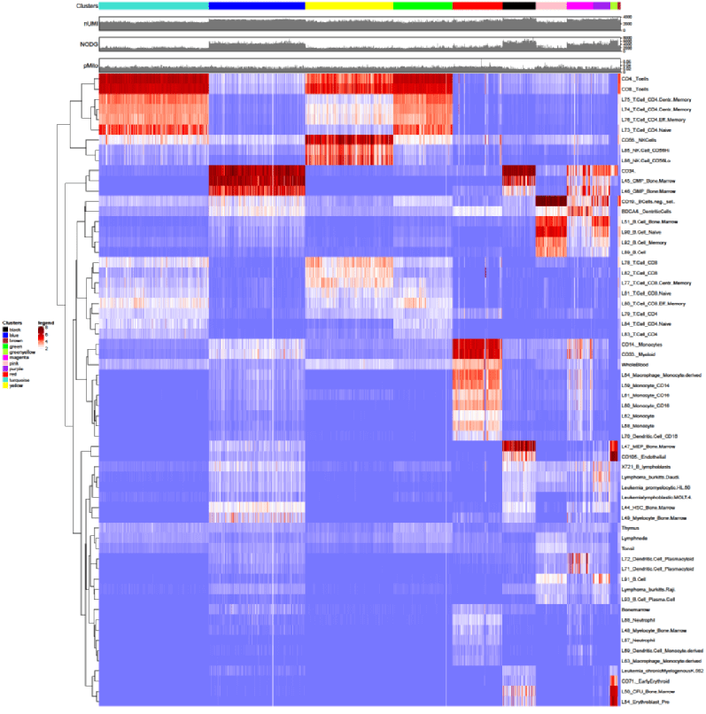 BM_heatmap.png