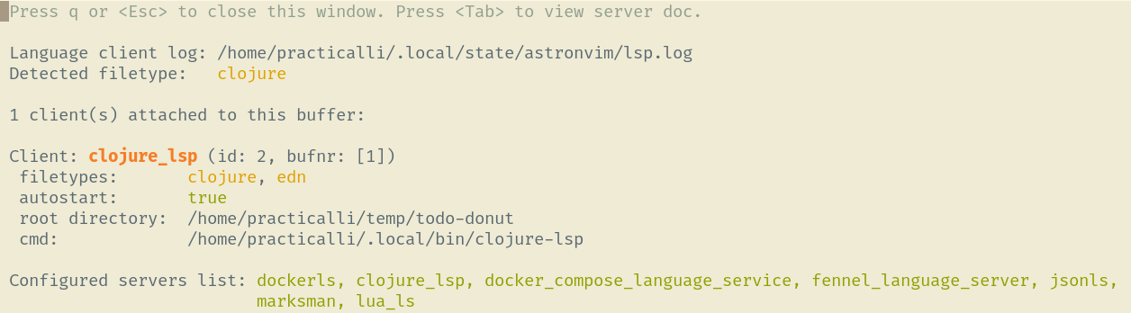 LSP Server information showing local clojure-lsp install
