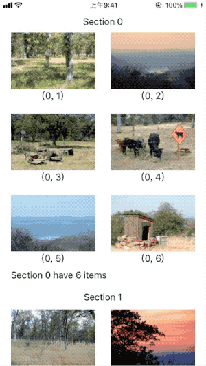 UICollectionView及其新功能drag and drop · pro648/tips Wiki · GitHub