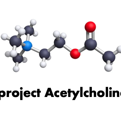 projectacetylcholine