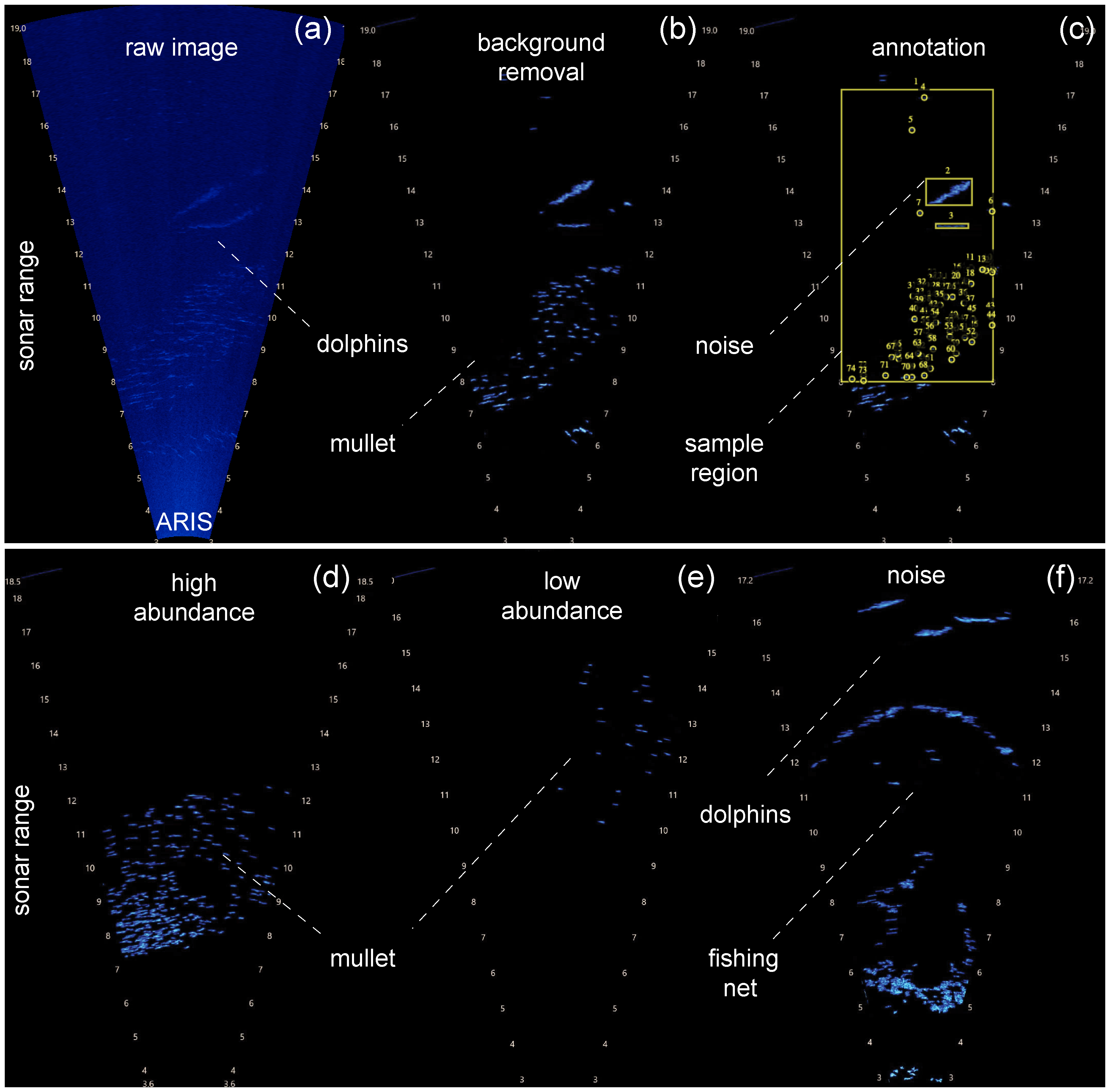 FIGURE2.png