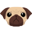 pug-php