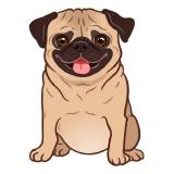 pugltd