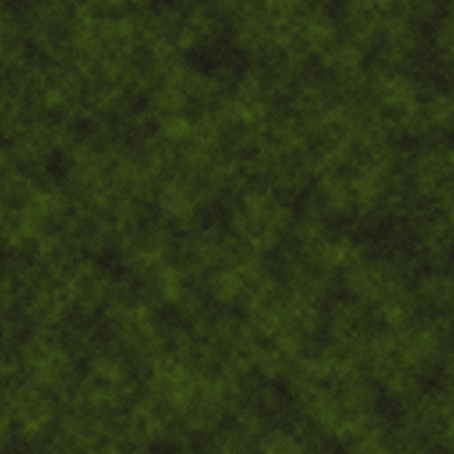 grass_material.png