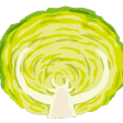 pycabbage logo