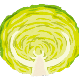 pycabbage