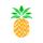 pynapple-org