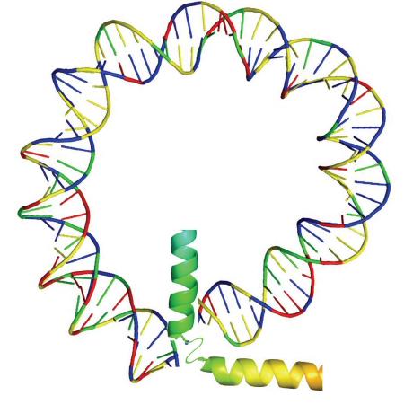 qgenlab
