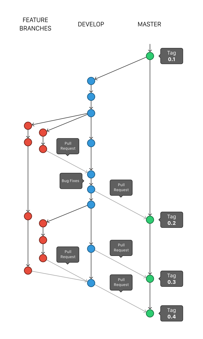 Branching Illustration