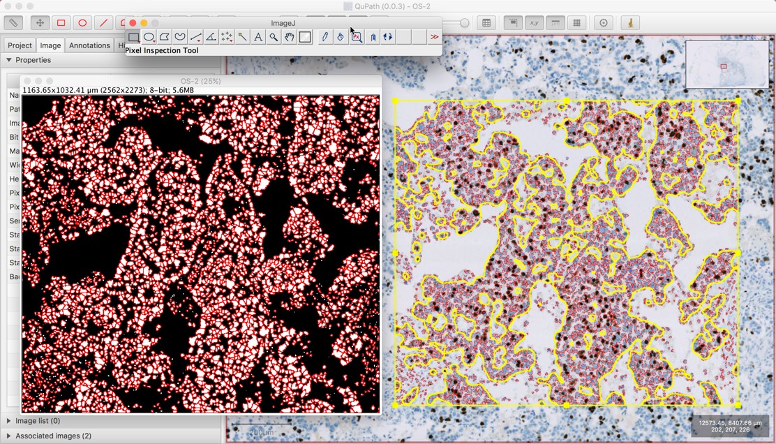 Sending an overlay from ImageJ to QuPath