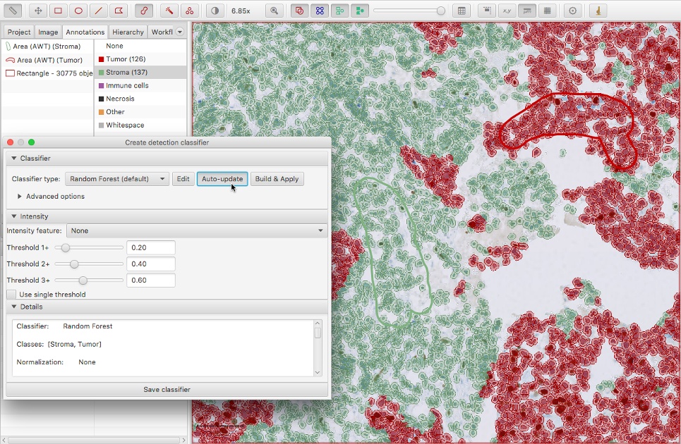 Training cell classification with preview