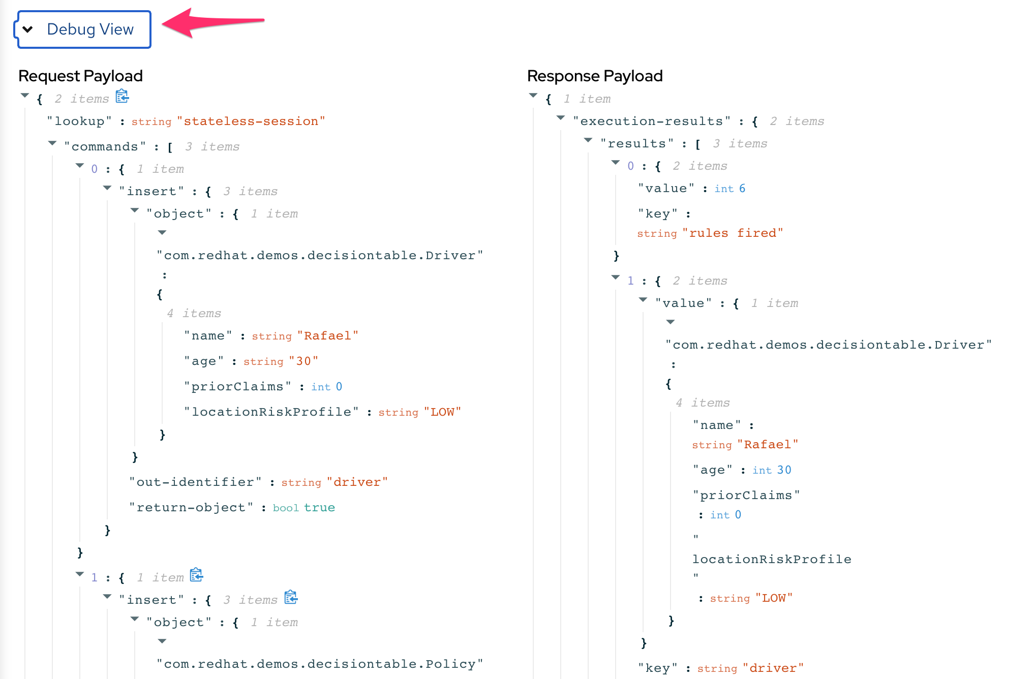 car-insurance-debug-payload-view.png