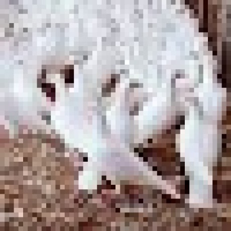 discusser-avatar