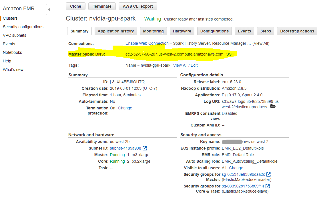 emr-cluster-dns.png