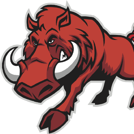 razorback16