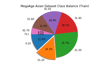 megaage_asian_train_class_balance_before.png