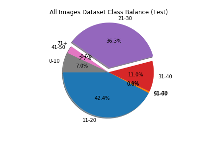 test_class_balance_after.png
