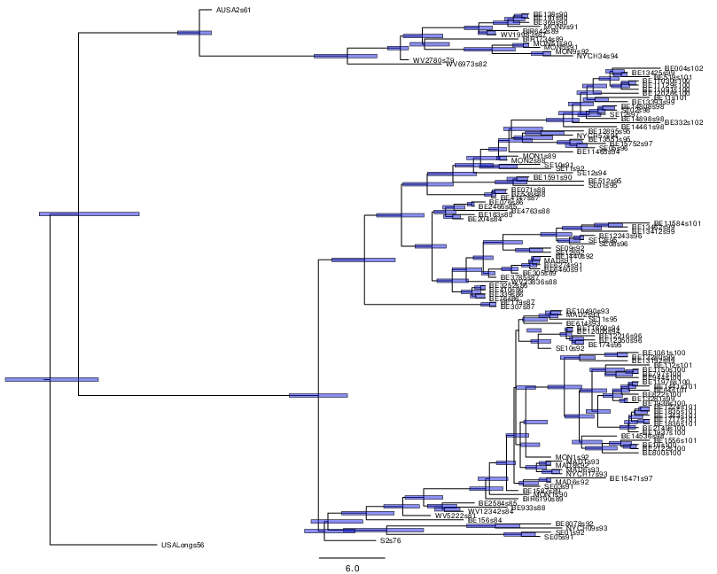 RSV2_mcc_tree.png