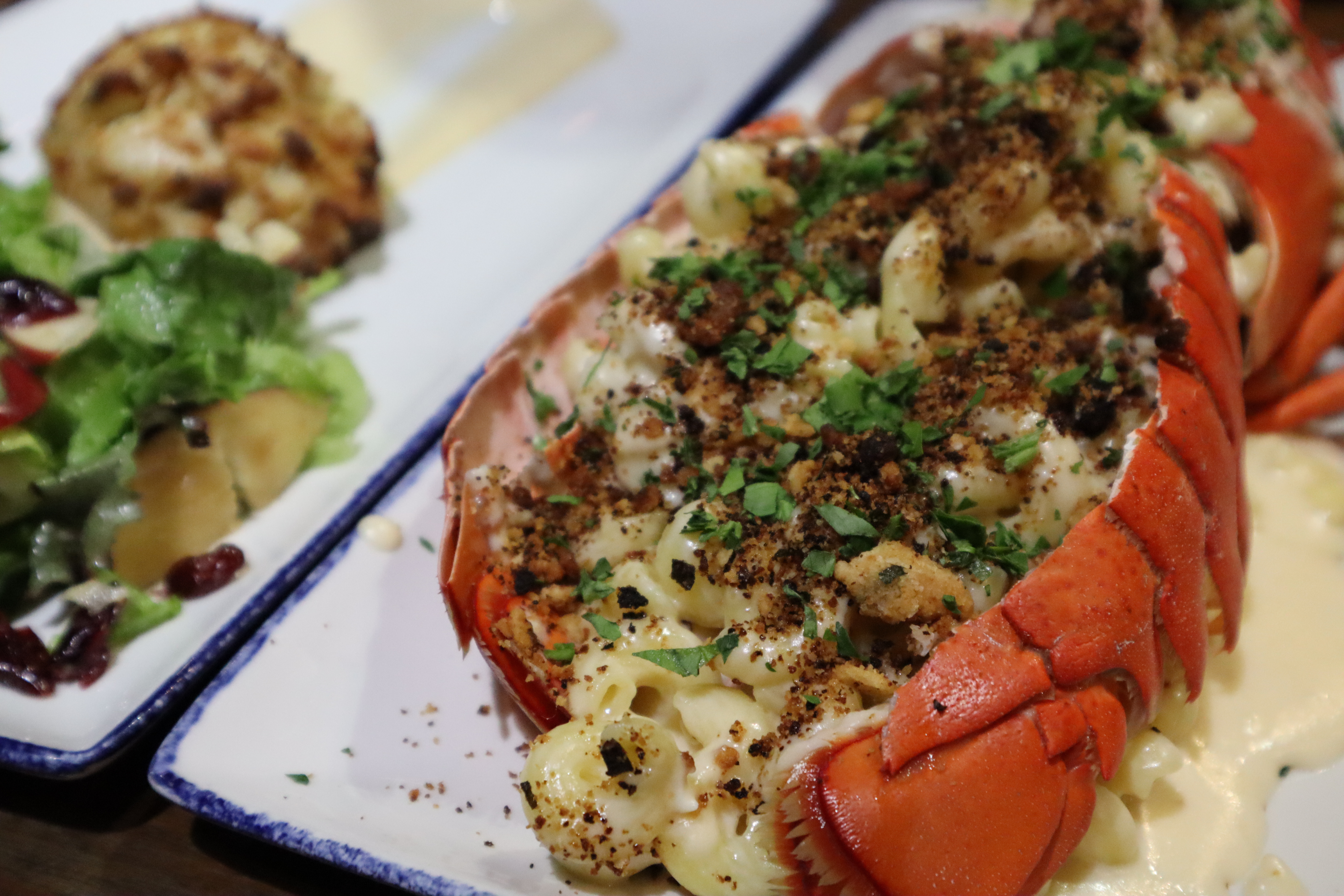 Lobster Mac & Cheese @ Legal Sea Foods