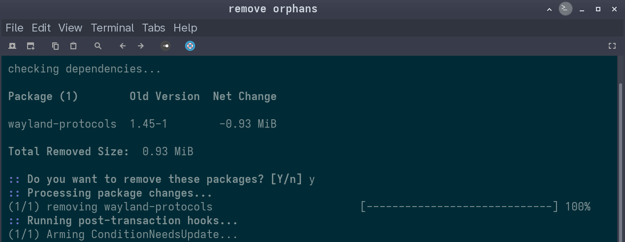 Terminal output listing an orphan after running sudo pacman -Qdtq | sudo pacman -Rns -