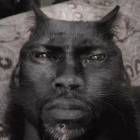 Ancestry GitHub avatar