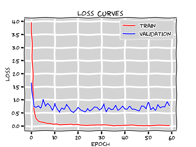 loss_curve.png