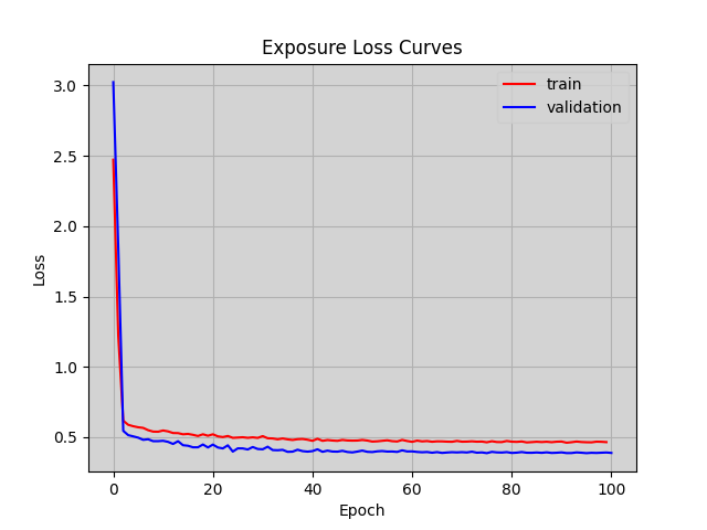 exposure_loss_curve.png