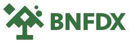 BNFDX Logo 2023.png