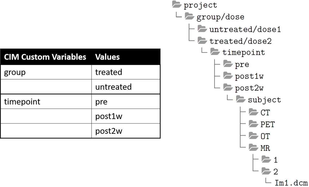 cim-custom-variables.png