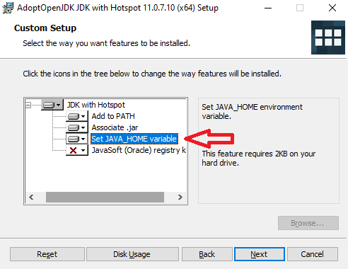 adoptopenjdk_setup.png