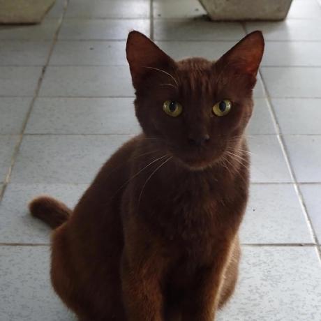 rin2yh