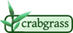 crabgrass.png