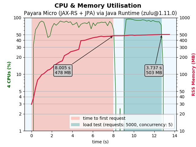 payara-micro-advanced-zulu@1.11.0.png