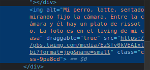 Se muestra la captura anterior, pero ampliado a la zona en que se lee la propiedad alt de la imagen. Claramente se lee la descripción de la imagen.