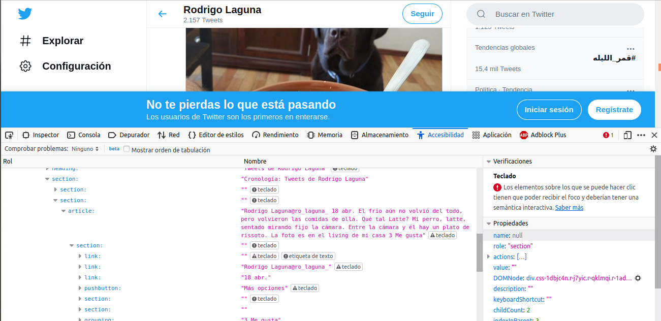 Se muestra la captura que contiene la descripción de varias imágenes que figuran en la página, y otros elementos, como la cantidad de seguidores