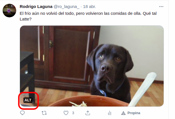 Captura de pantalla de un tweet con una foto de mi perro Latte. Abajo a la izquierda se ve el ícono que dice alt