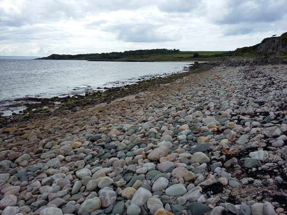 A pebble beach, which appears quite rough because of the scale at which we are viewing it.