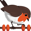 rotki
