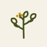 Avatar for rue-language, owner of rue-language/rue