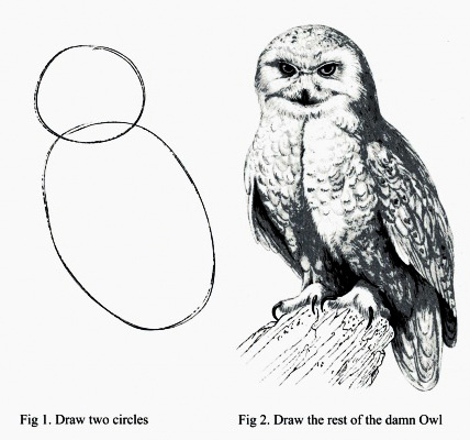 HowToDrawOwl.jpg