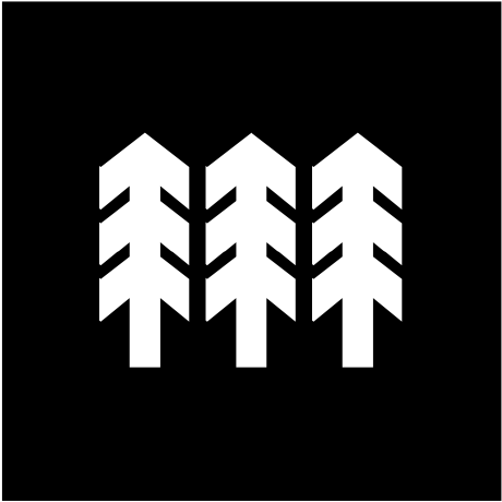 run-pineflow