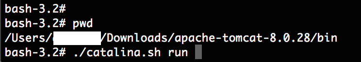 Run-Apache-Tomcat-using-catalina.sh-run-command-Crunchify.png