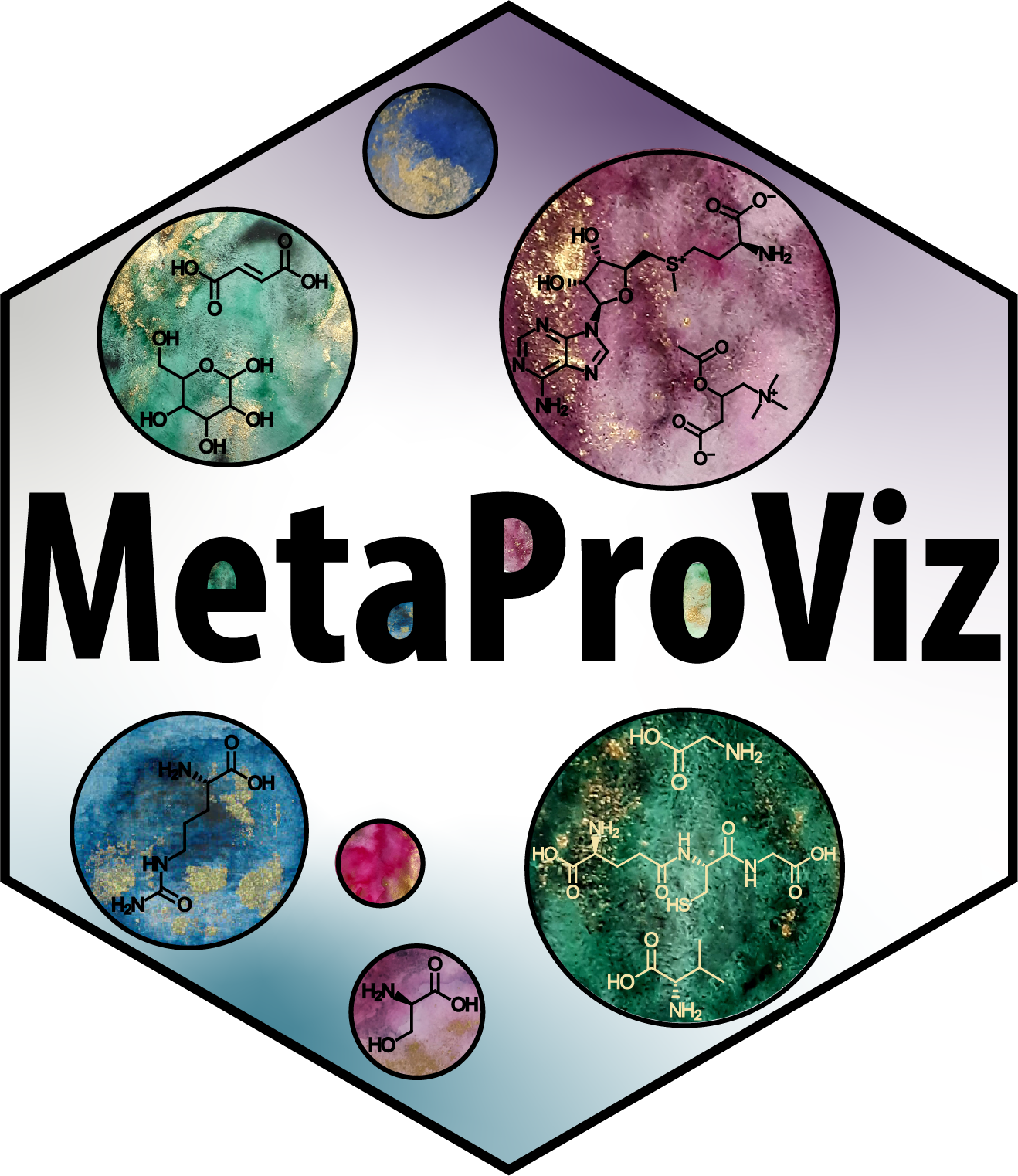 Hexagon_MetaProViz.png