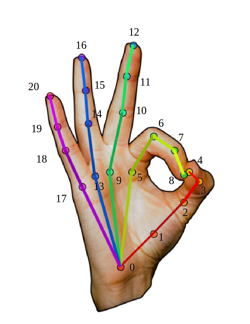 keypoints_hand.png