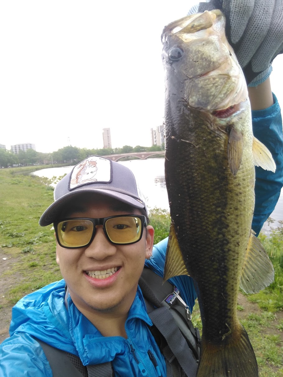 2017-05-28_largemouth_bass.jpg