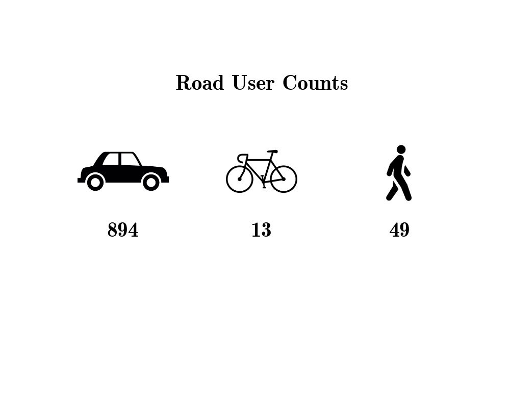 road_user_icon_counts.jpg