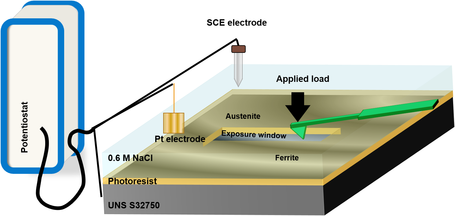 Exp Setup Diagram.png