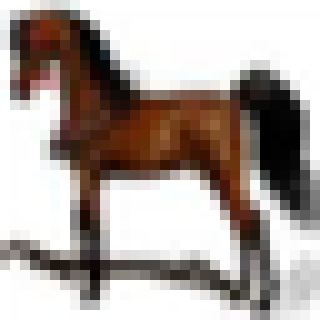 horse_scaled.png