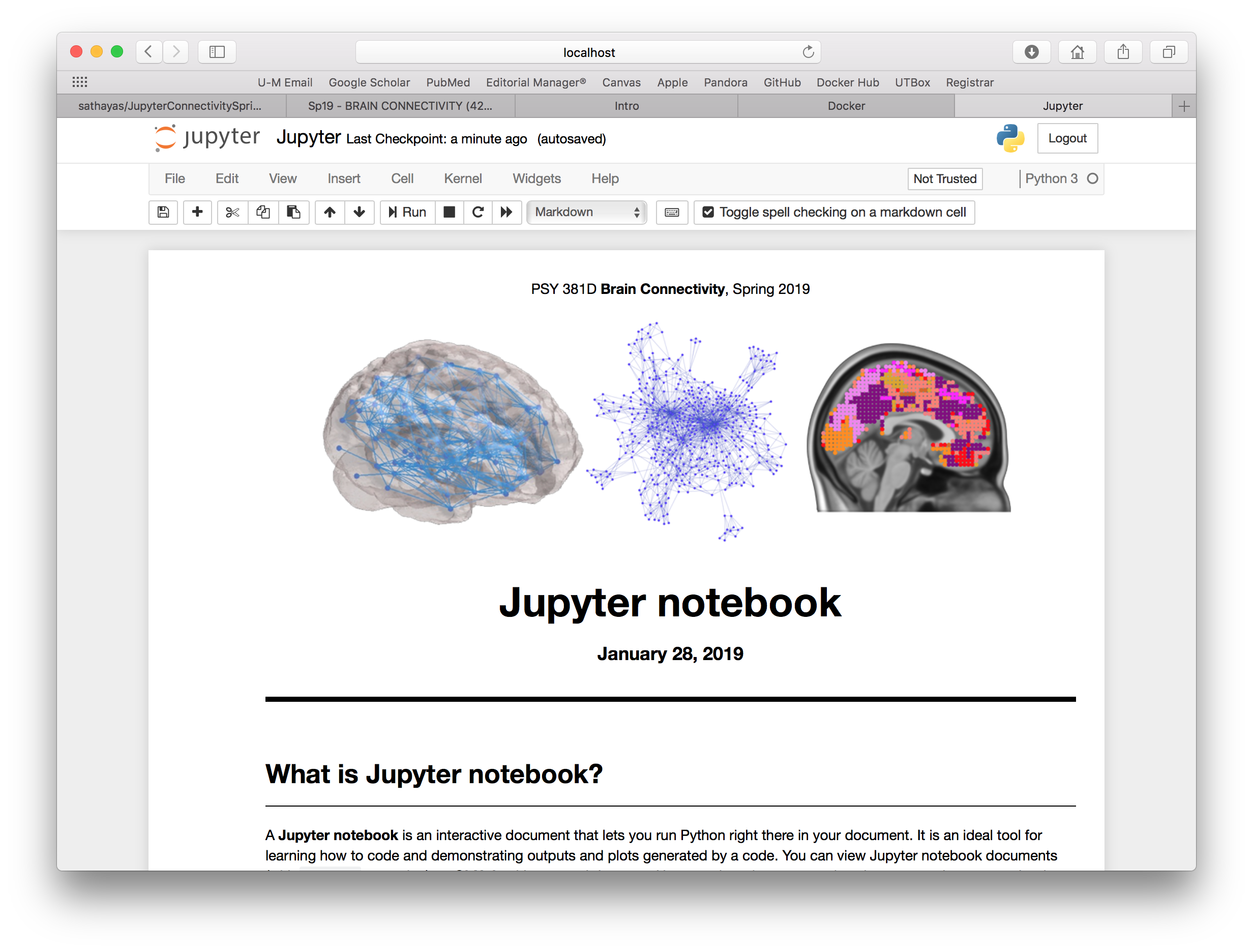 An example of Jupyter notebook