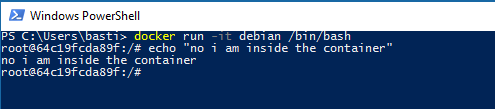 run-debian-interactive.PNG